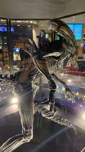 Alien: Romulus Xenomorph Display