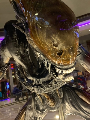 Alien: Romulus Xenomorph Display