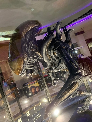 Alien: Romulus Xenomorph Display