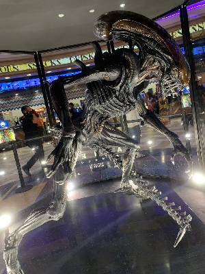 Alien: Romulus Xenomorph Display