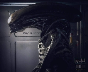 Alien Covenant Xenomorph suit (Rare Photo)