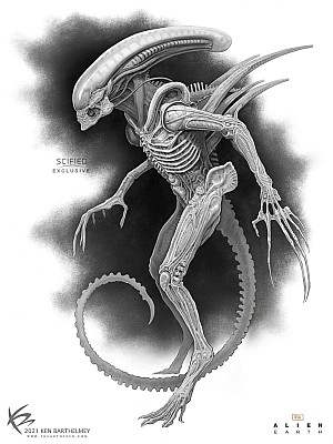 New image: Alternative / Unused Xenomorph Designs