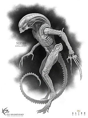 New image: Alternative / Unused Xenomorph Designs