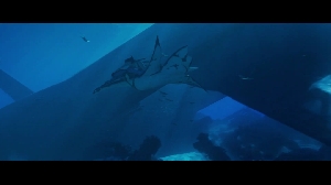 Avatar: Fire and Ash Official Trailer