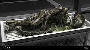 New image: Dead Xenomorph