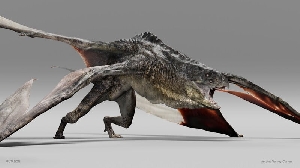 Early Mutadon design by Antoine Verney-Carron