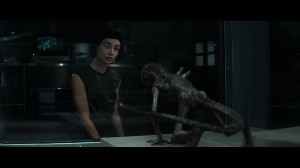Episode 6 – The Fly preview