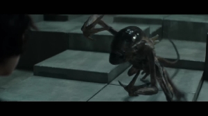 Episode 6 – The Fly preview