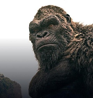 Kong in Monarch S2