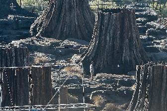 Massive tree trunks spotted in new Alien: Covenant set photo