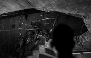 On the set of Alien: Earth