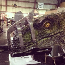 Possible first look at JW raptor
