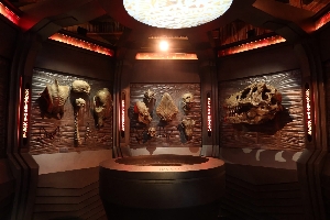 Predator Trophy Room
