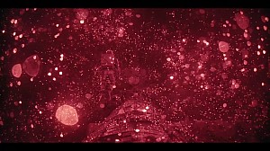 New image: Project Hail Mary Screenshots