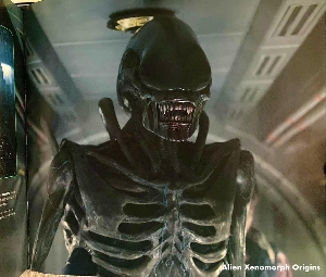 Protomorph suit Image