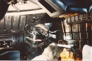 Rare Big Chap Xenomorph Photo