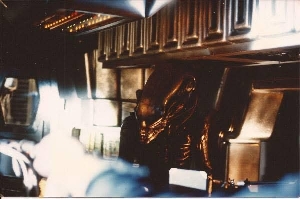Rare Big Chap Xenomorph Photo