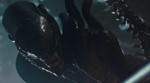 Romulus Station Xenomorph