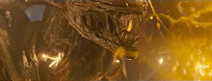 Scorched Xenomorph close-up