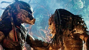 Super Predator vs. Predator