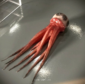 T. Ocellus Alien Specimen Prop