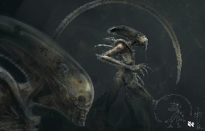 Textural exploration of the Xenomorph