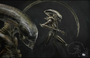 Textural exploration of the Xenomorph