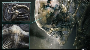 Textural exploration of the Xenomorph