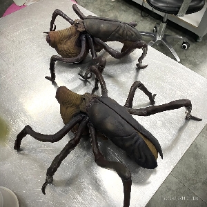 The Fly behind the scenes
