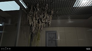 New image: The Fly specimen