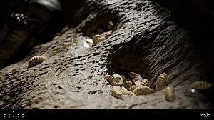 New image: The Fly specimen