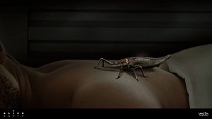 New image: Tick stages concept art by Alex Ries