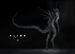 Unused Xenomorph design