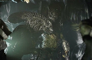 Wolf Predator / Xenomorph AvP:R