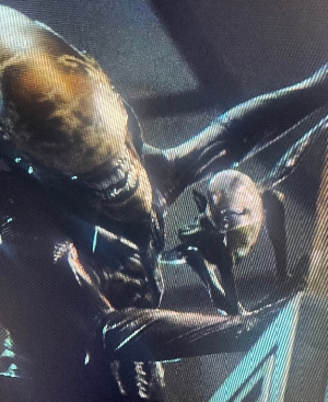 Xenomorph and Baby Xenomorph from Season Finale