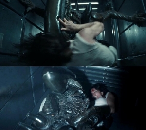 Xenomorph attacks Zoya