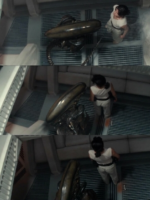 Xenomorph intimidates Zoya