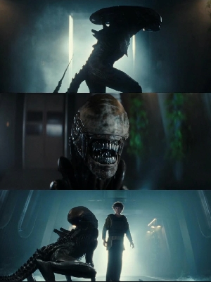 Xenomorph meets Boy Kavalier