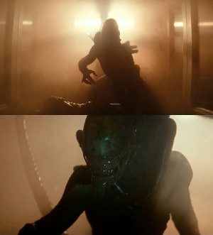 Xenomorph on a rampage