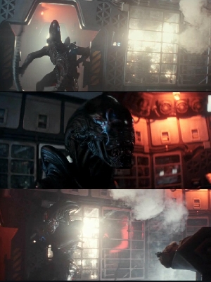 Xenomorph vs. T. Ocellus in Episode 5