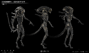 Xenomorph Warrior Concept Art