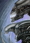 Xenomorph Hierarchy Fan Art