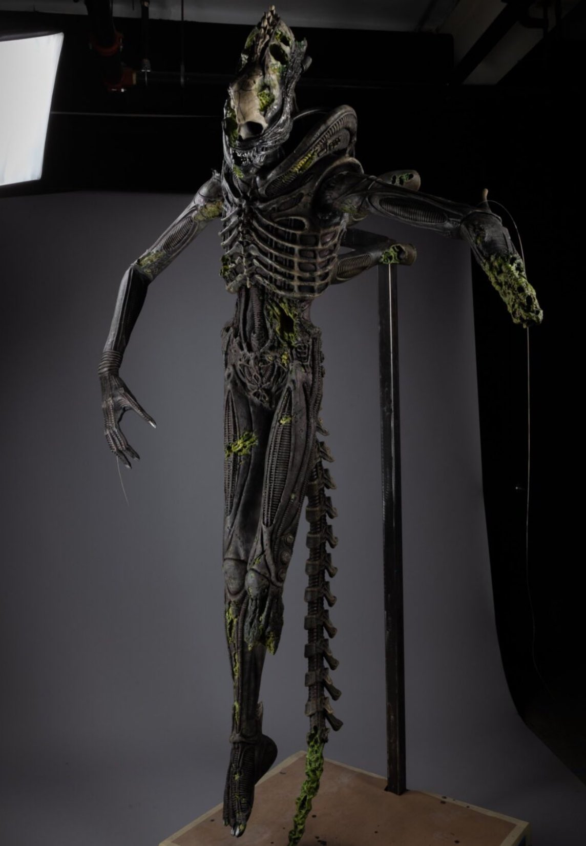 Alien: Romulus Big Chap prop