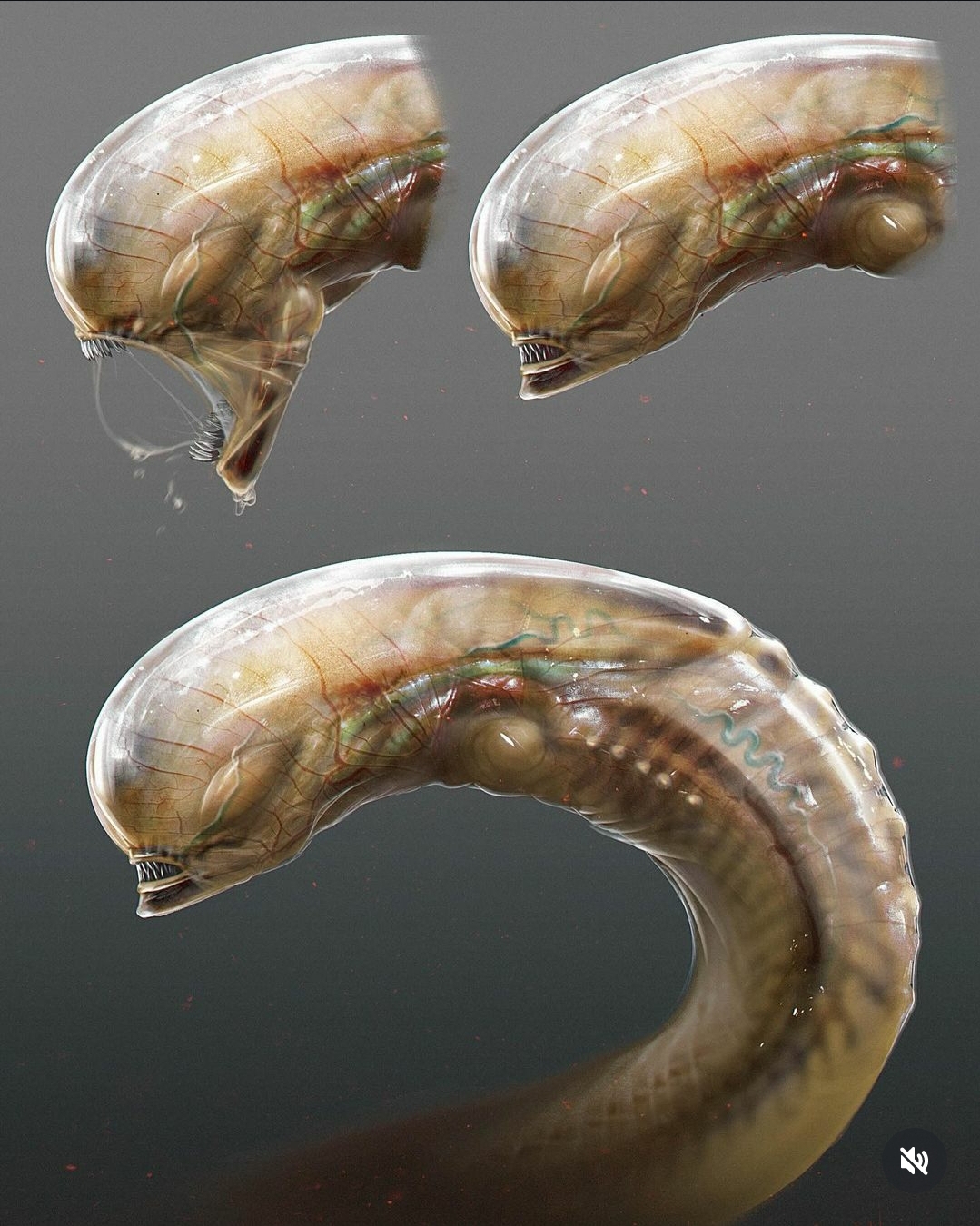 Alien: Romulus Chestburster design