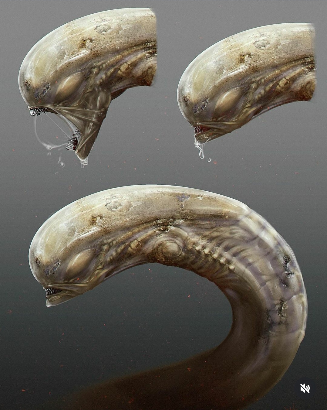 Alien: Romulus Chestburster design