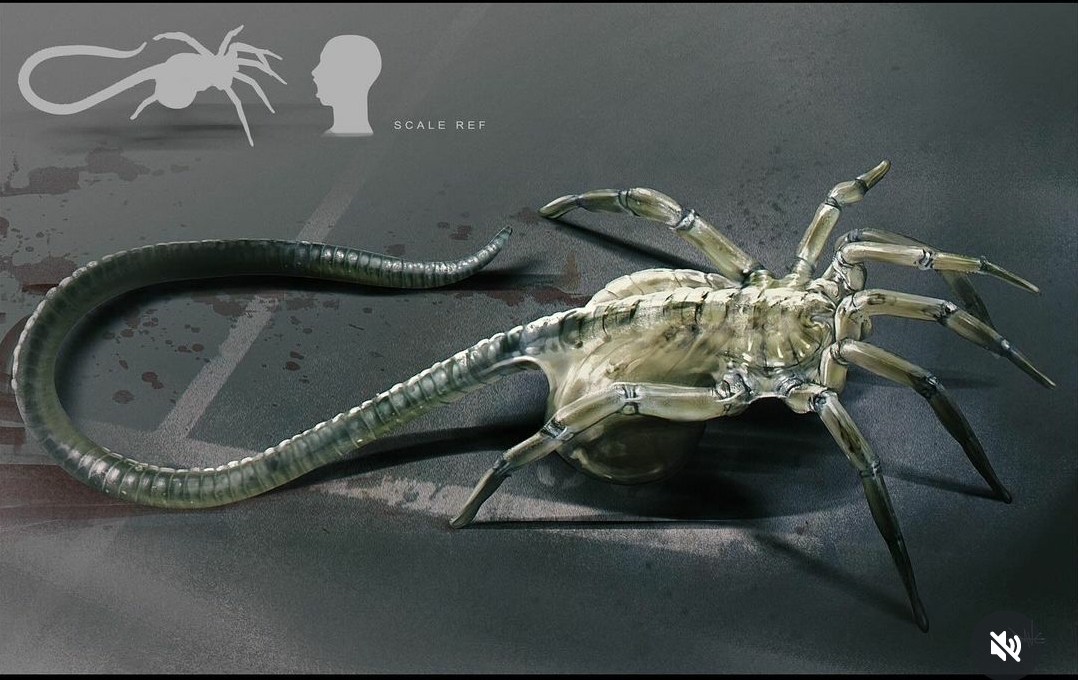 Alien: Romulus Facehugger by Dane Hallett