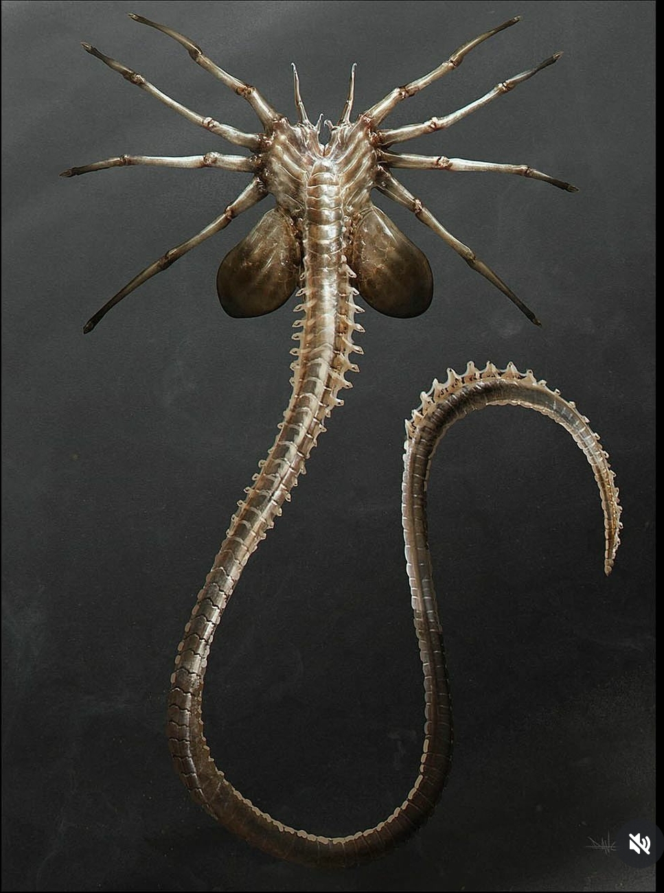 Alien: Romulus Facehugger concept art