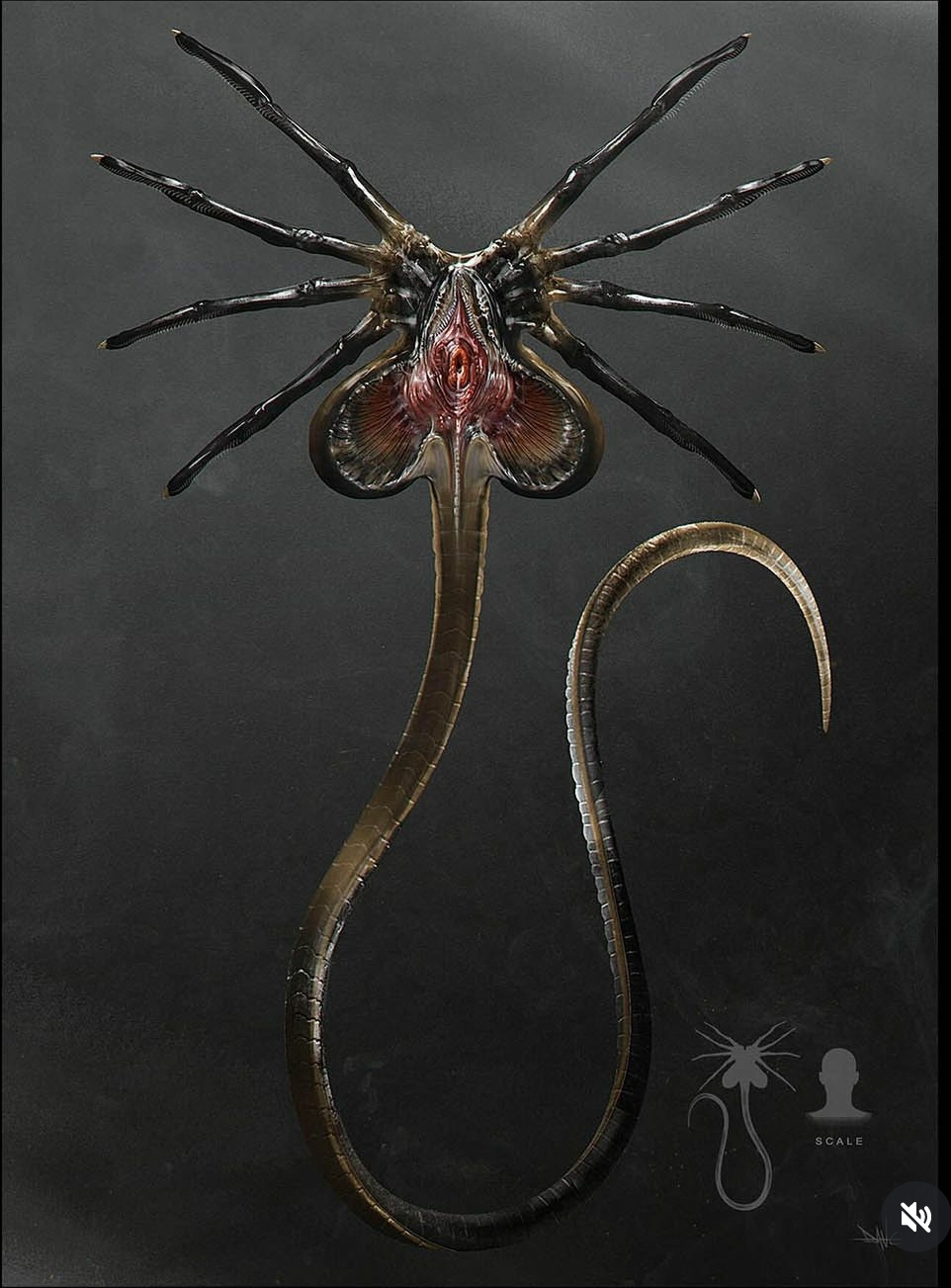 Alien: Romulus Facehugger final design