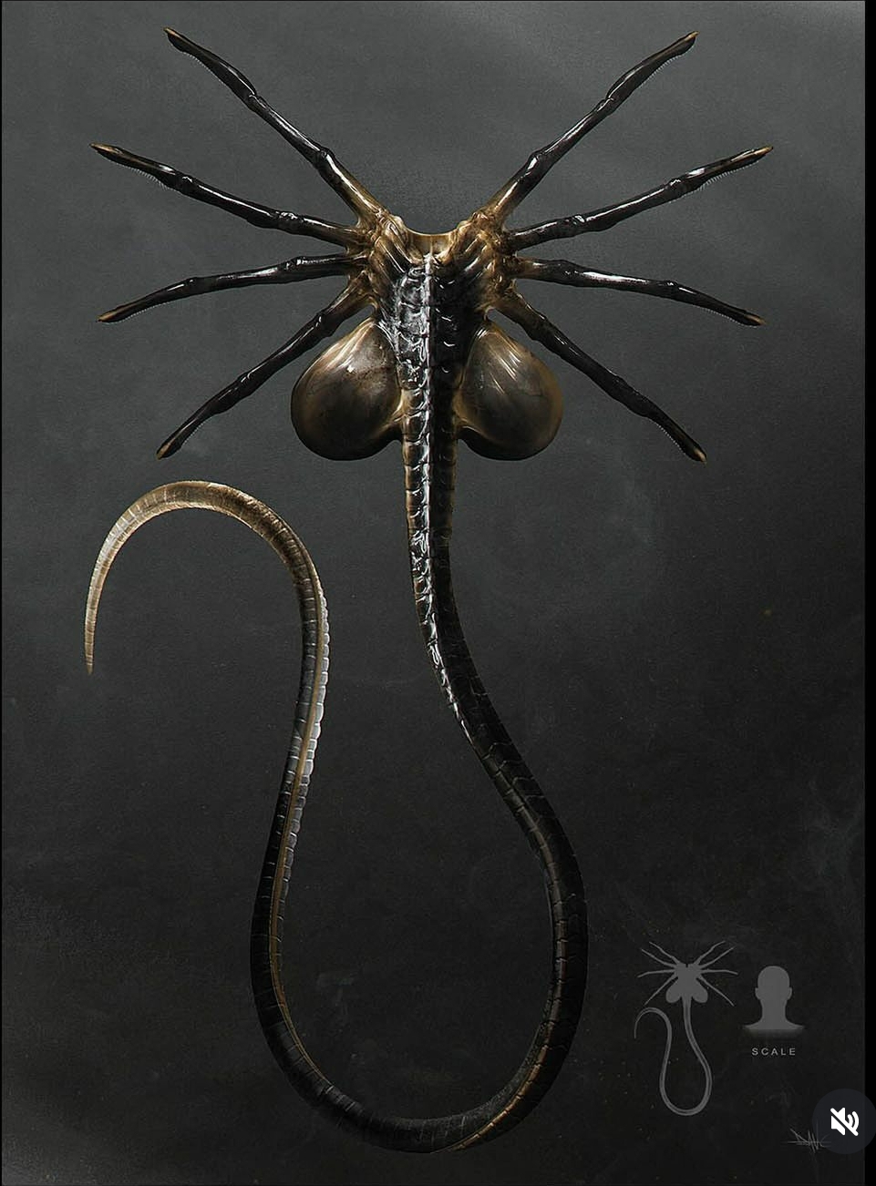 Alien: Romulus Facehugger final design