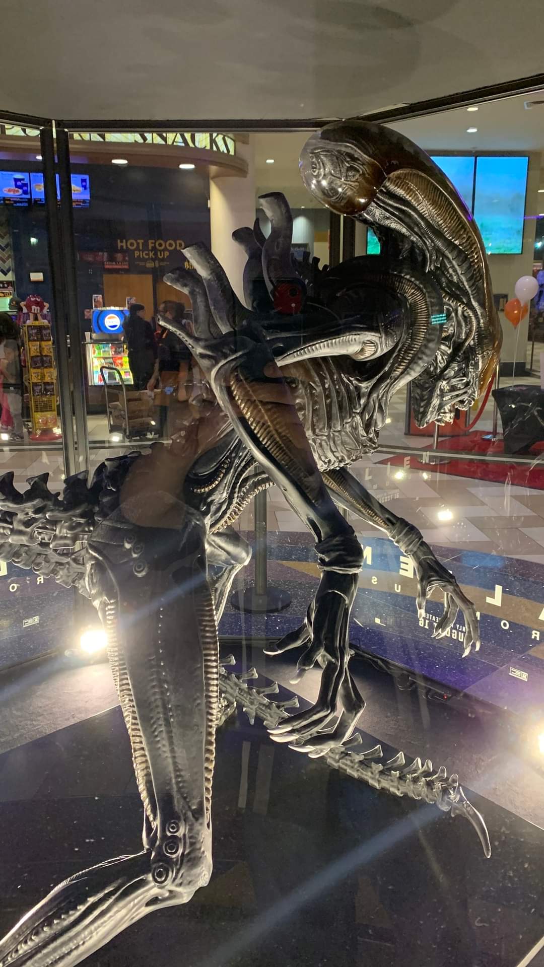 Alien: Romulus Xenomorph Display